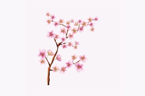 Cherry Blossom Wedding Card Set: A Design Asset for Every Occasion